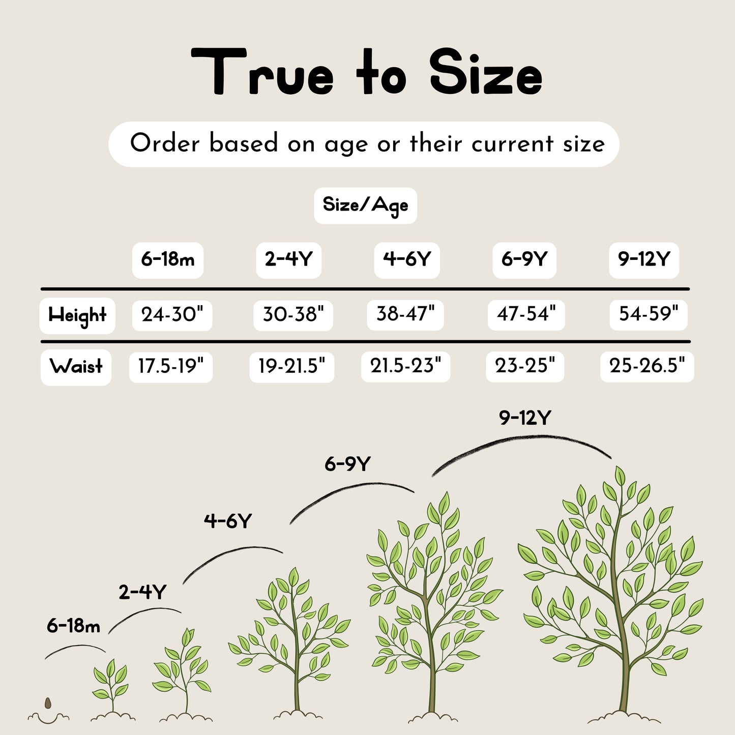 Essential Crew Neck Top