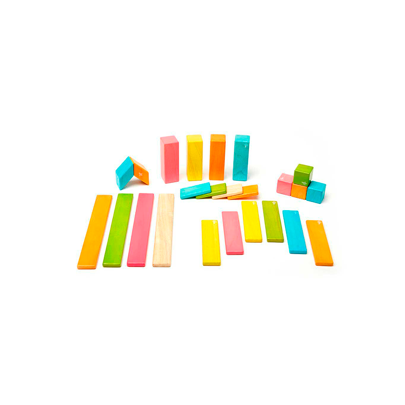 24-Piece Set Tegu Classics