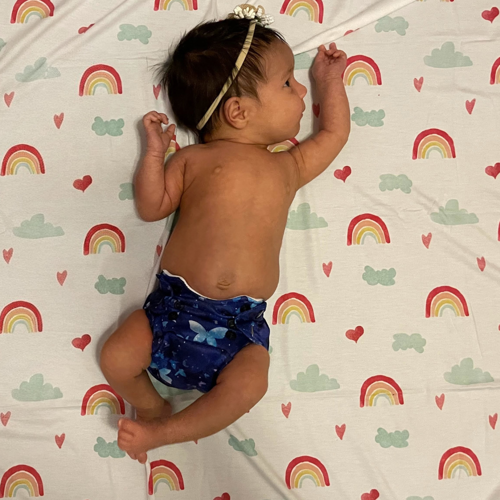 Little Wings Born Smart Newborn 2.0 Cloth Diaper