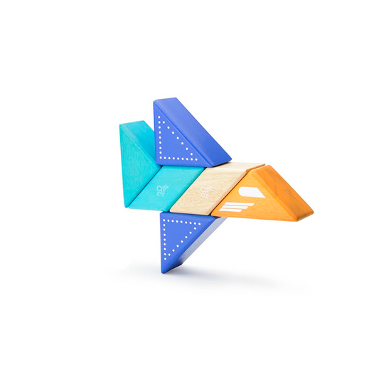 Travel Pals - Jet Plane