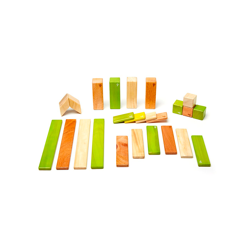24-Piece Set Tegu Classics