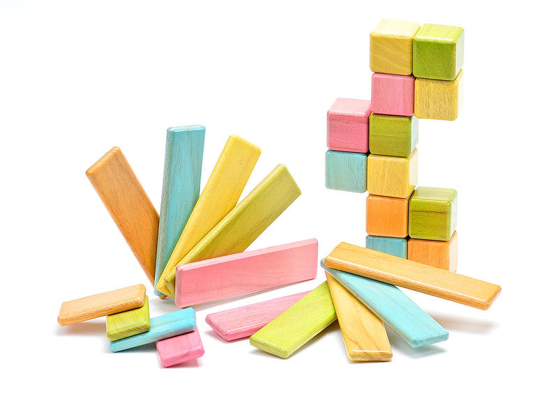 Discovery Set  of Magnetic Wooden Blocks 26 pieces