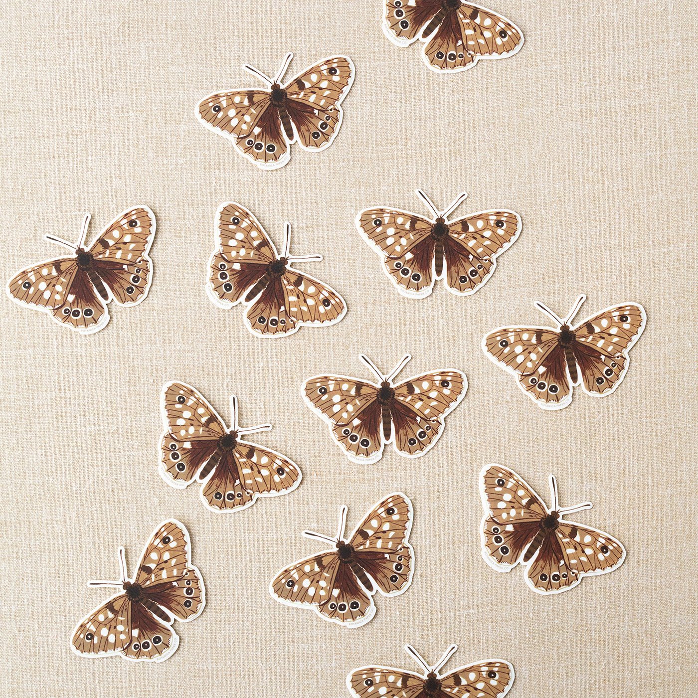 MOTH CLEAR VINYL STICKER