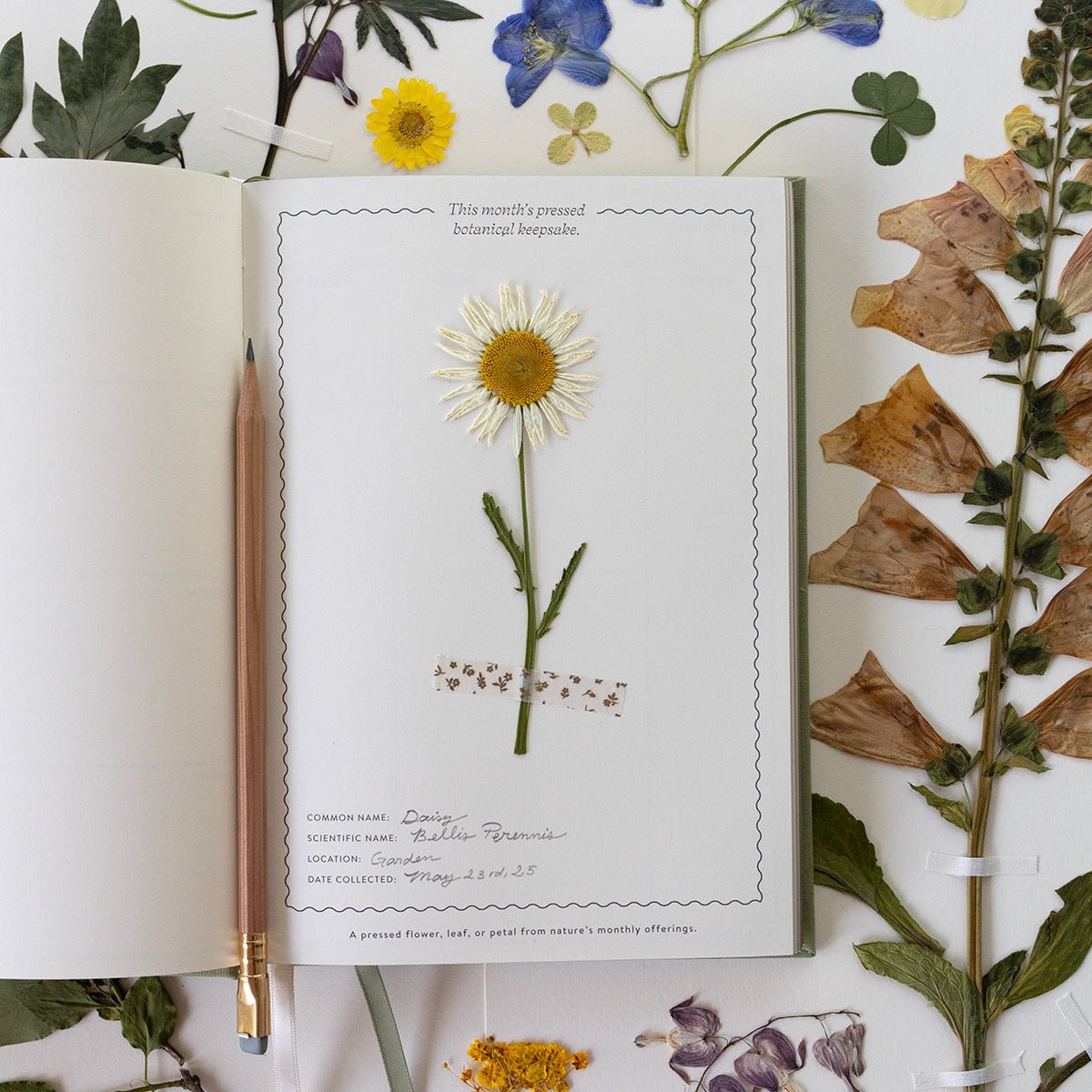 HERBARIUM LINEN-BOUND PLANNER