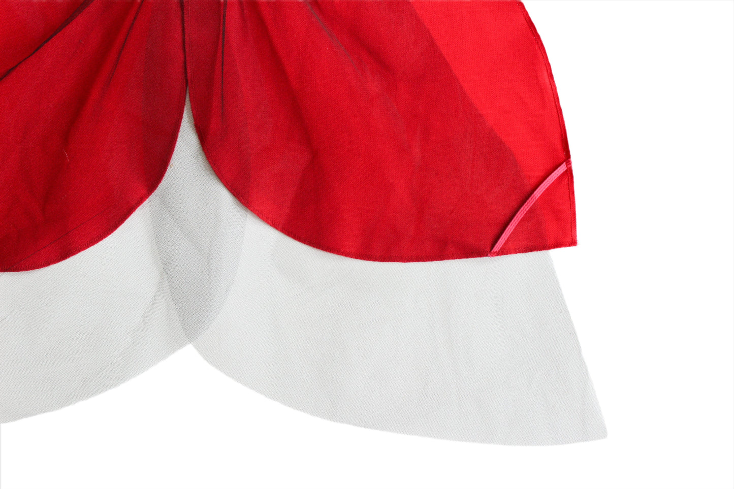 Ladybug Wings Costume