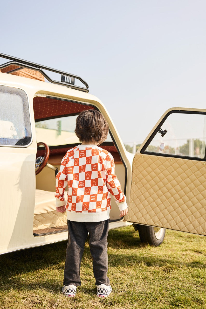 Child in a checkered shirt standing next to a vintage-style camper van on grass with a clear sky.