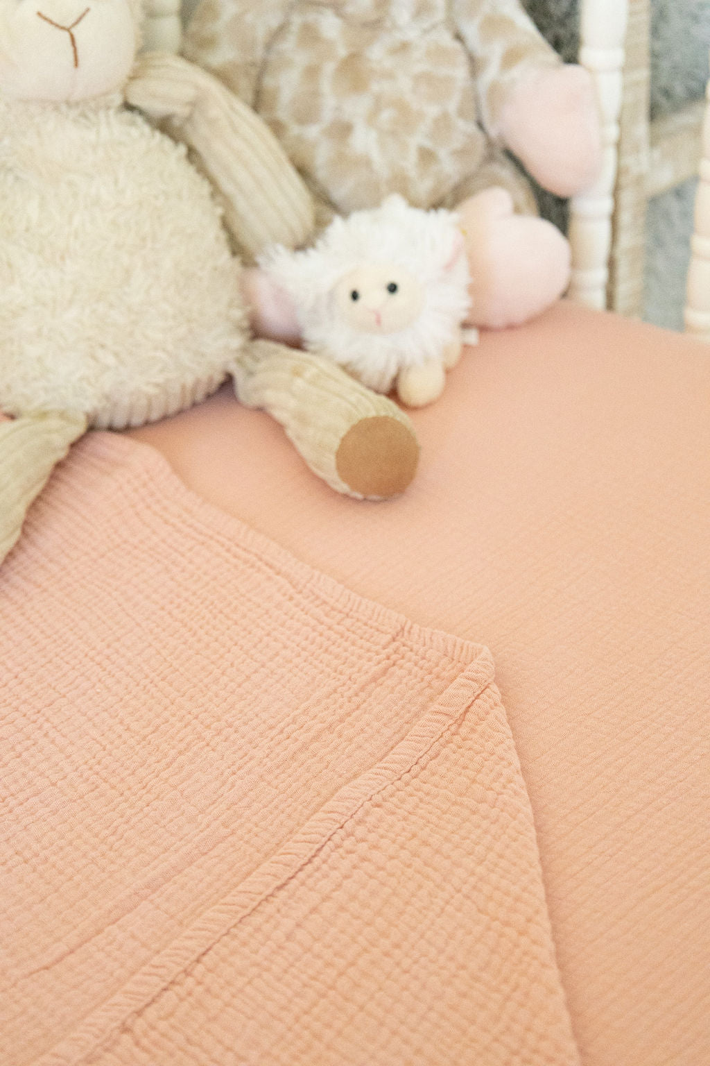 Close-up of plush toys on a textured pink blanket