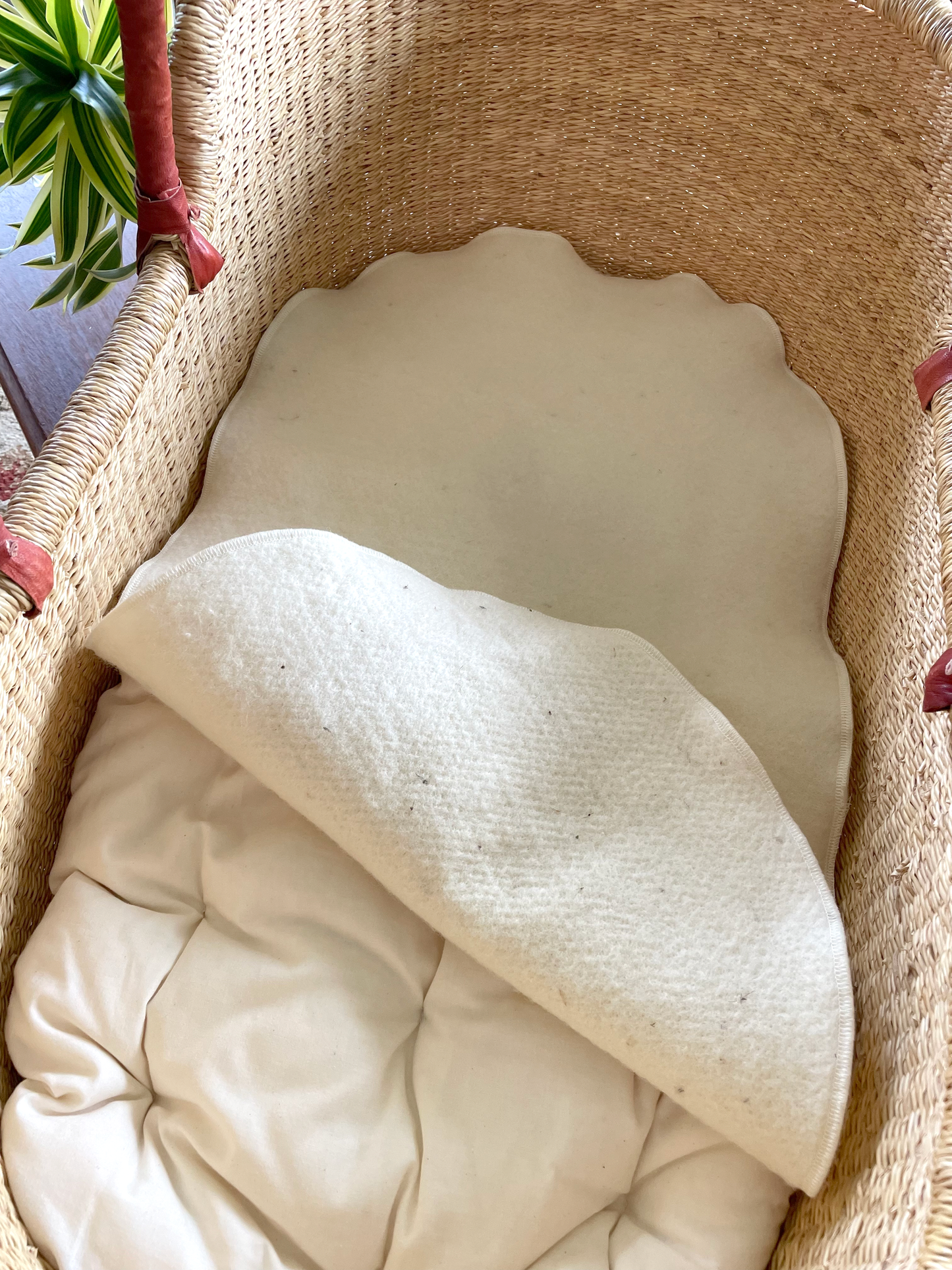 White cushion in a woven basket with a plant in the background