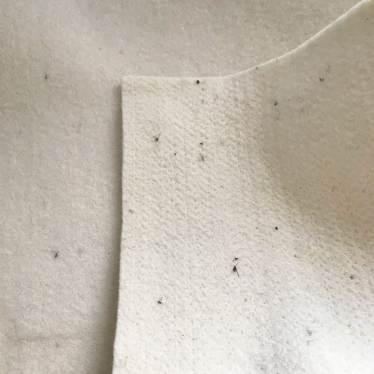 Close-up of textured beige fabric with small black specks.
