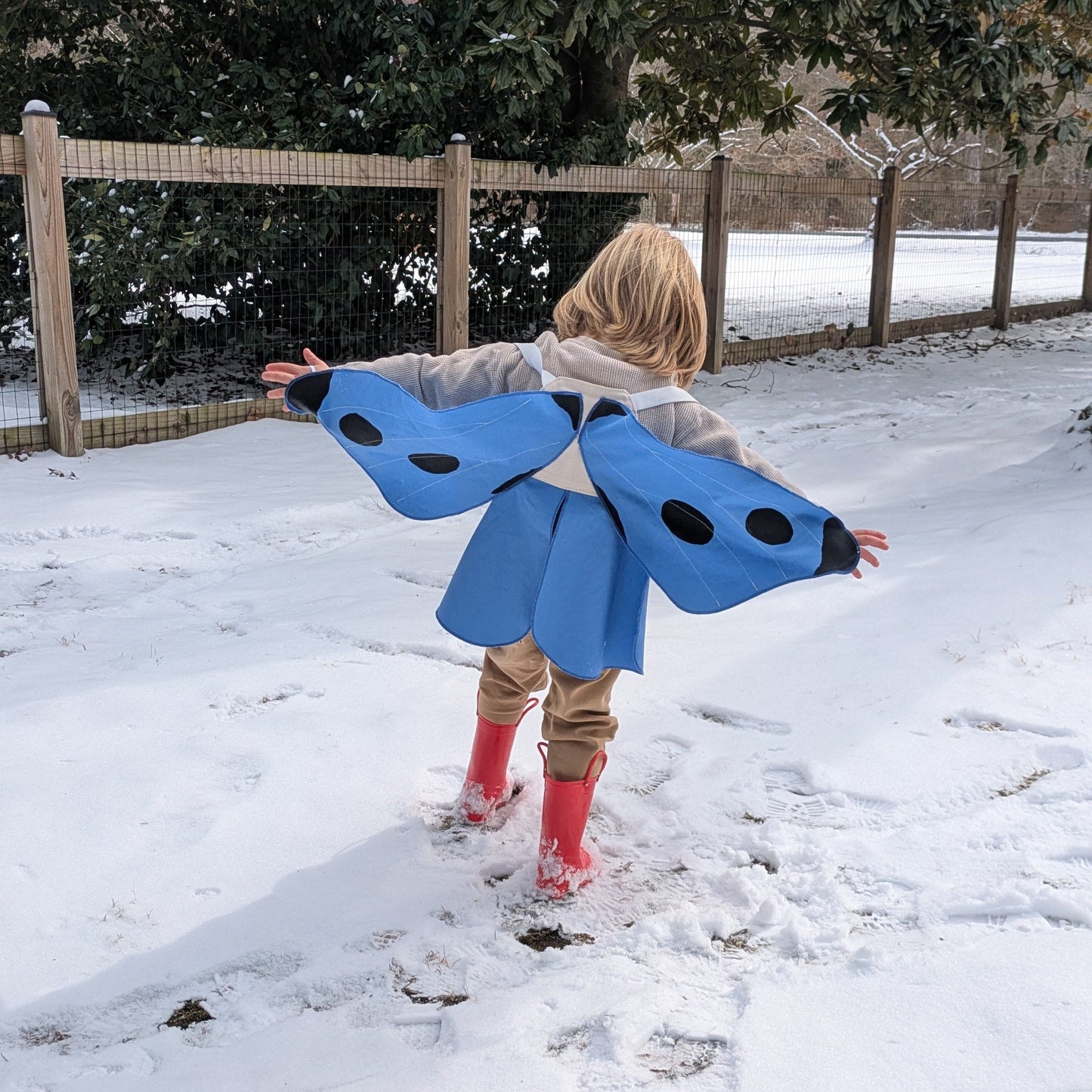 Spotted Blue Butterfly Wings Costume