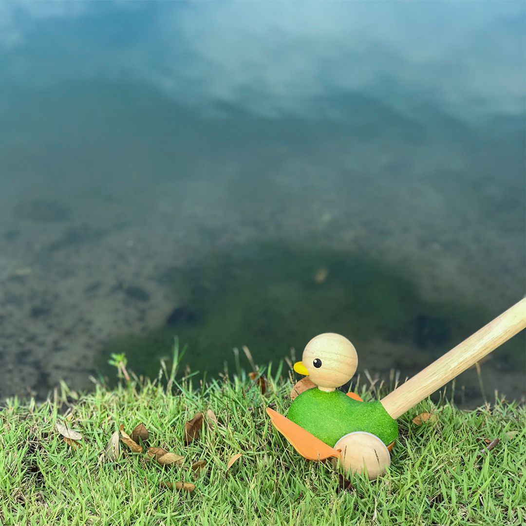 Toy duck with a carrot on grass near water