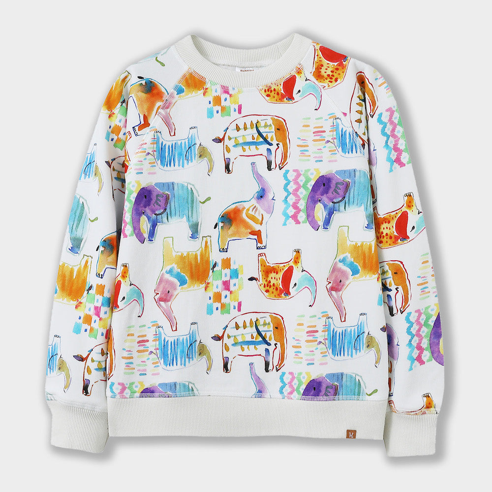 Colorful animal patterned sweatshirt on a white background