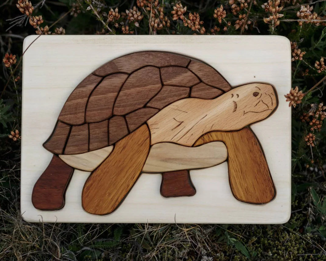 Wooden turtle puzzle on a natural background