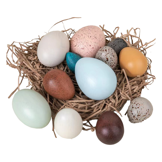 Nest with colorful eggs on a white background