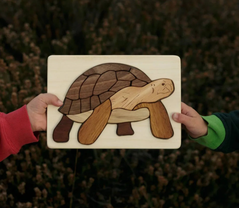 Wooden turtle puzzle held by two hands against a blurred natural background