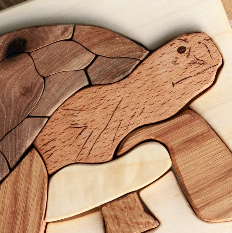 Wooden turtle puzzle on a light background