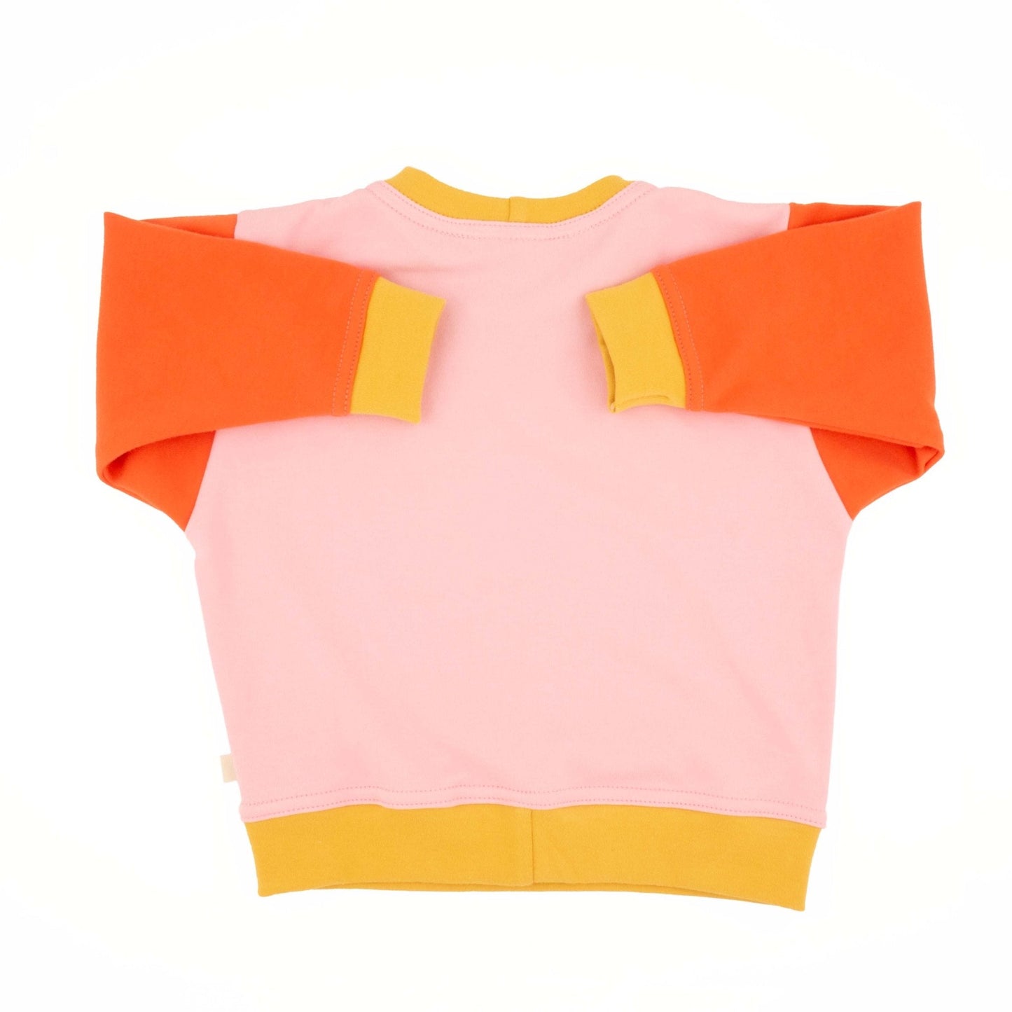 Big Kid Colorblock Sweatshirt