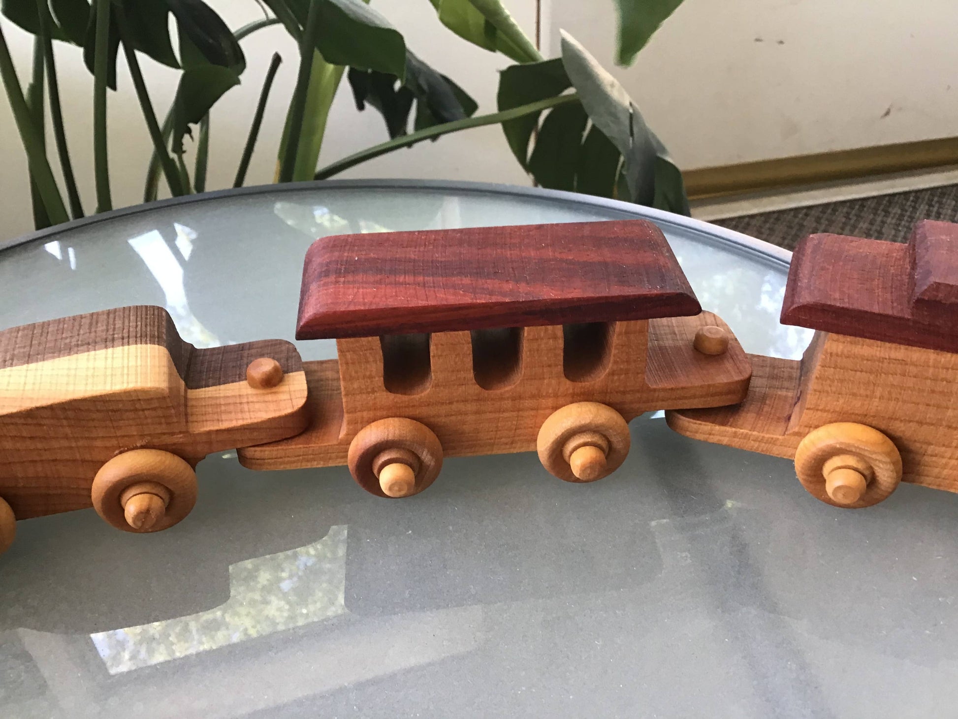 Wooden toy train on a reflective surface with plants in the background
