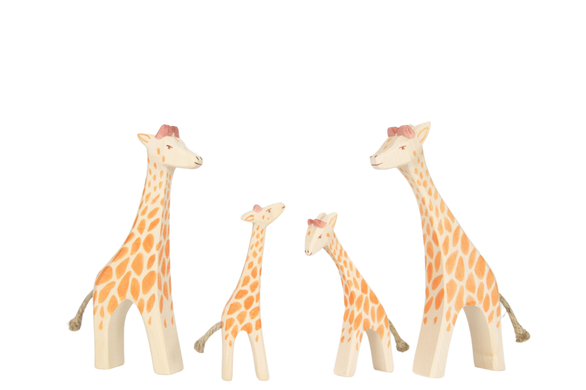 giraffe family