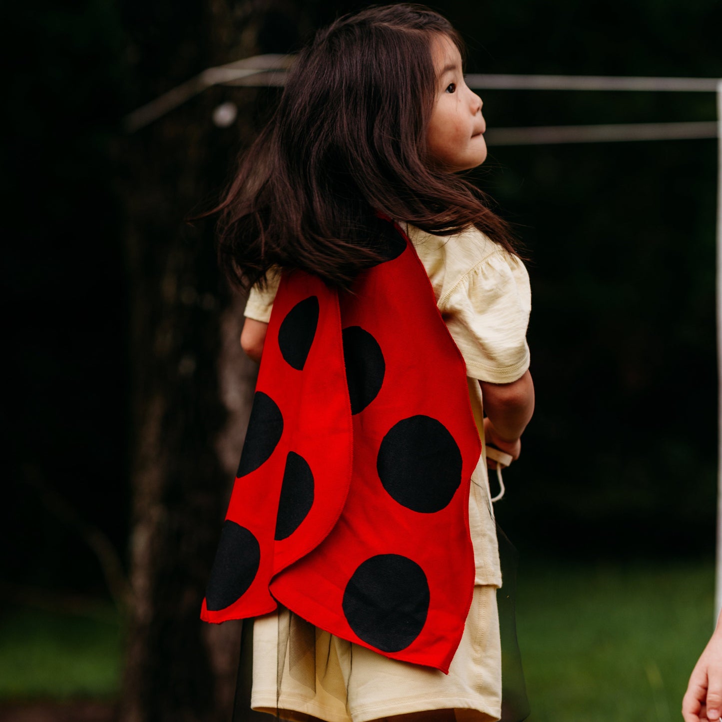 Ladybug Wings Costume