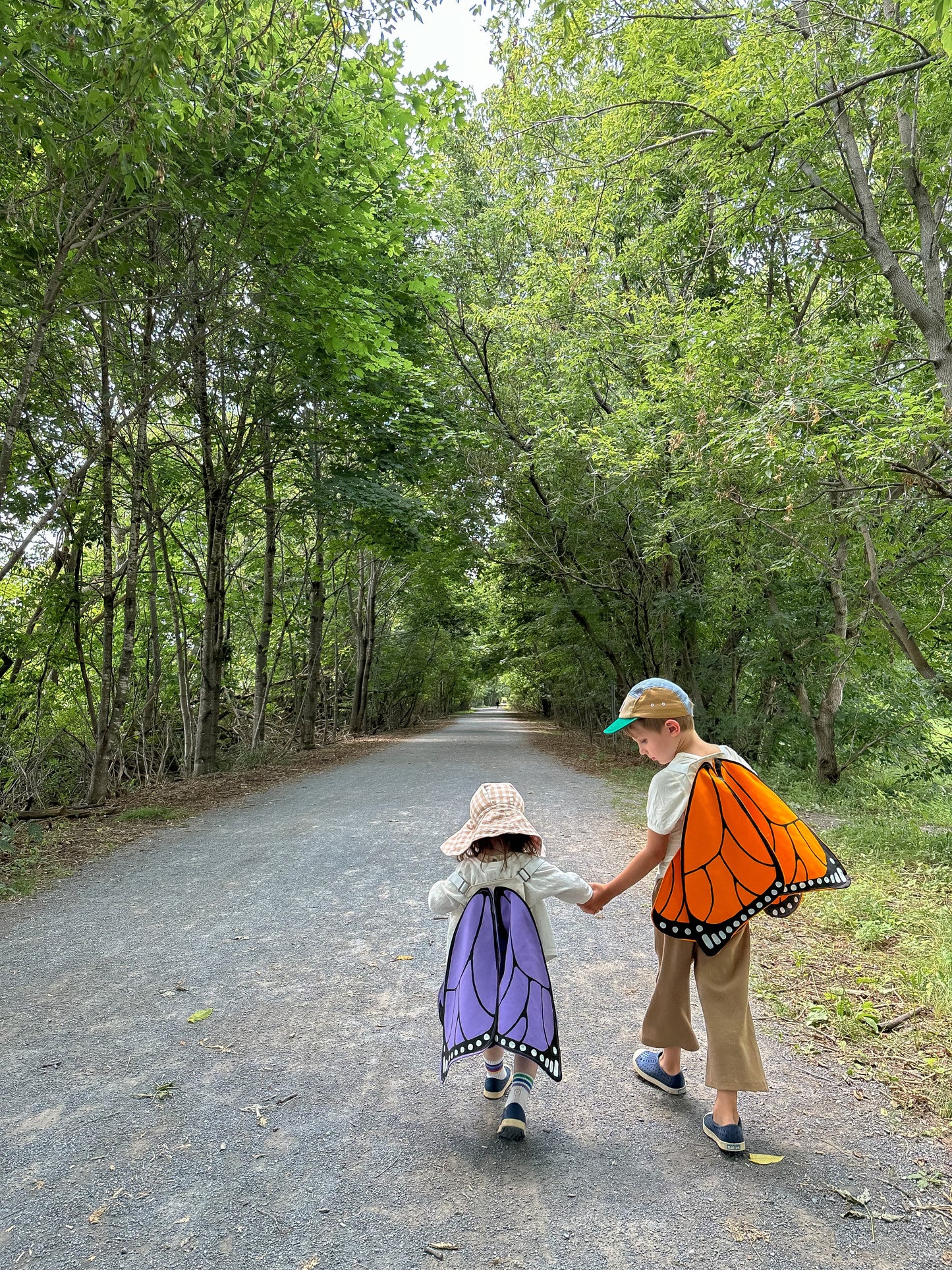 Two children in butterfly costumes walking on a path surrounded by trees.