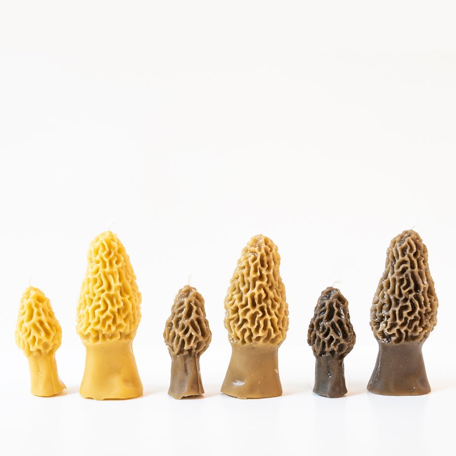Set of six morel mushroom-shaped fishing lures on a white background
