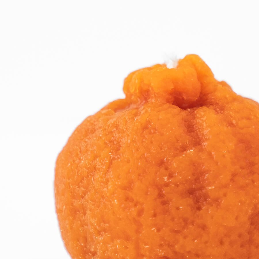 Close-up of an orange on a white background