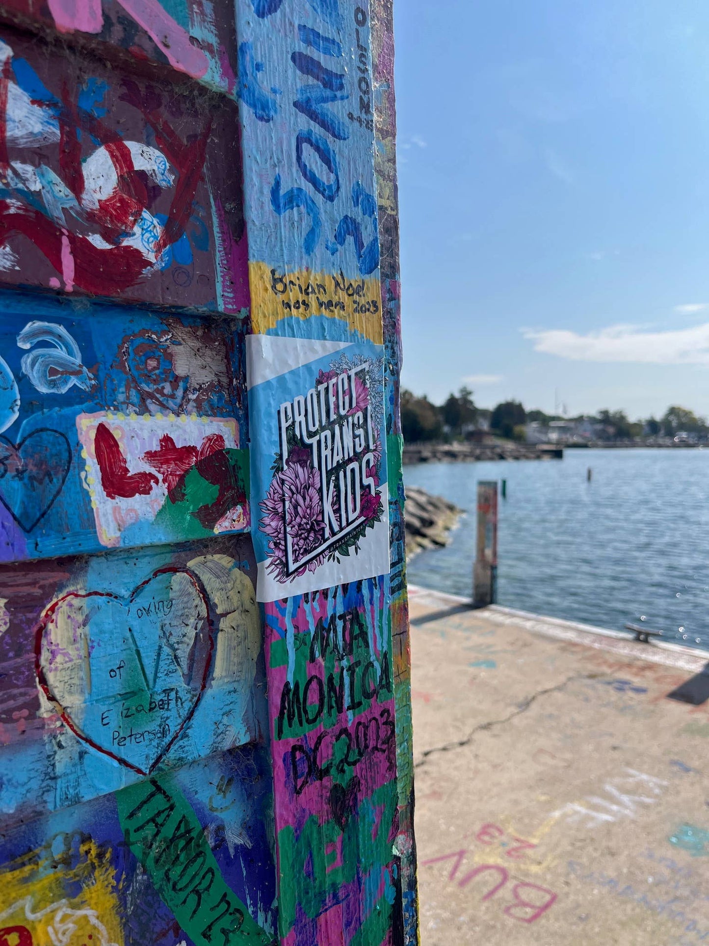 4x5 art Stickers by artist Rae Senarighi (aka Transpainter) that read "Protect Trans Kids" on a blue and white surrounded by pink, blue, and white florals inspired by the transgender pride flag on a wall by the sea
