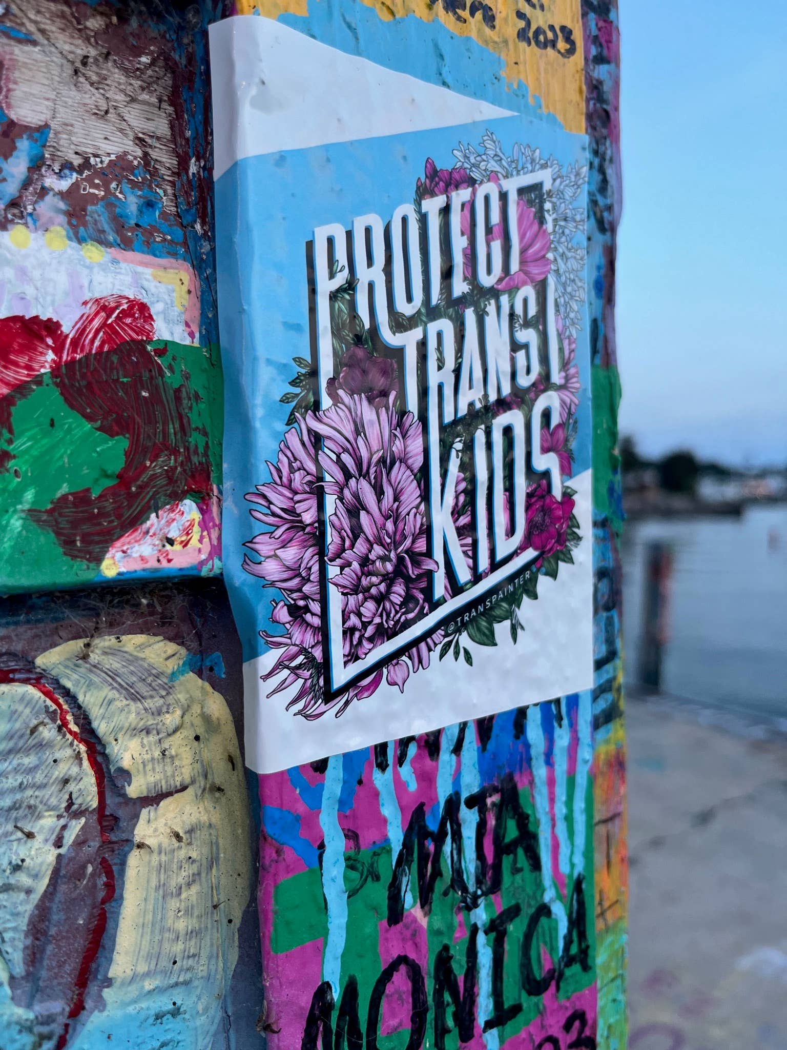 4x5 art Stickers by artist Rae Senarighi (aka Transpainter) that read "Protect Trans Kids" on a blue and white surrounded by pink, blue, and white florals inspired by the transgender pride flag on a wall