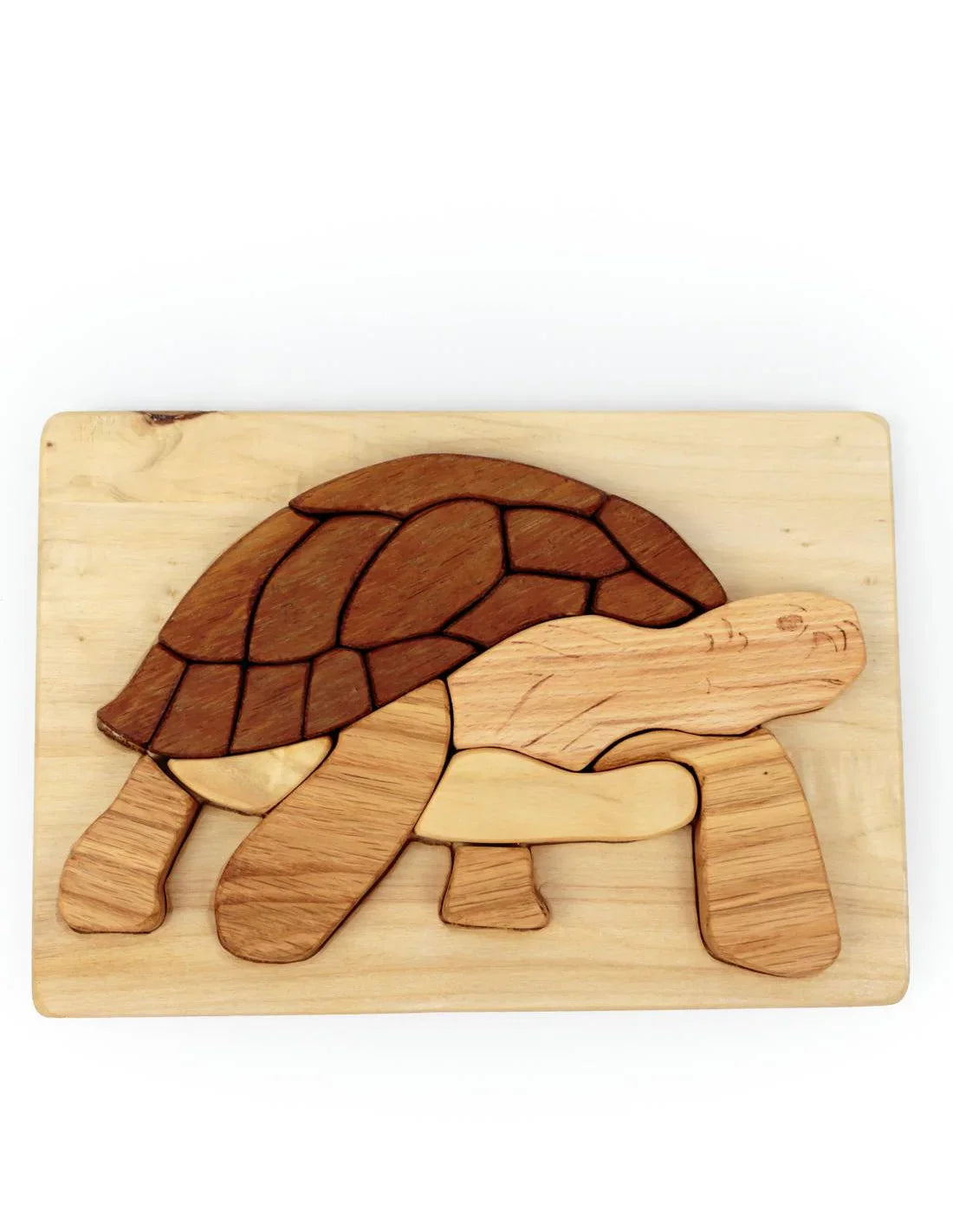 Wooden turtle puzzle on a white background