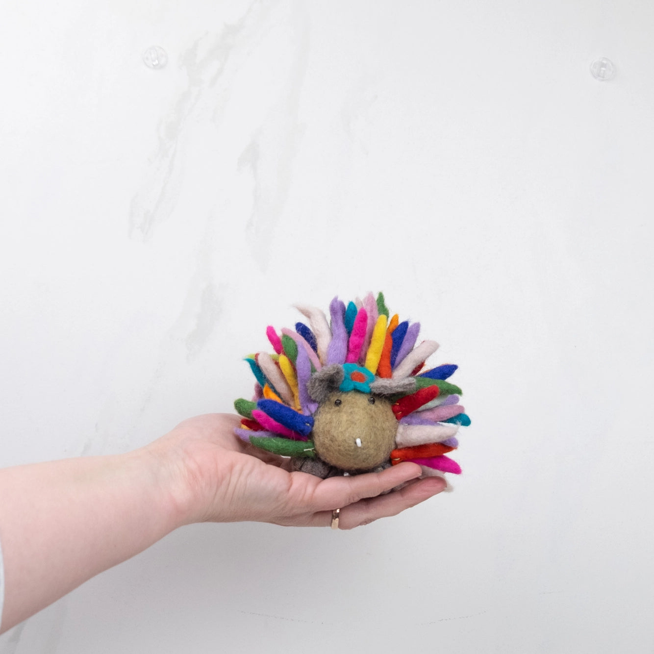 felt hedgehog rainbow small