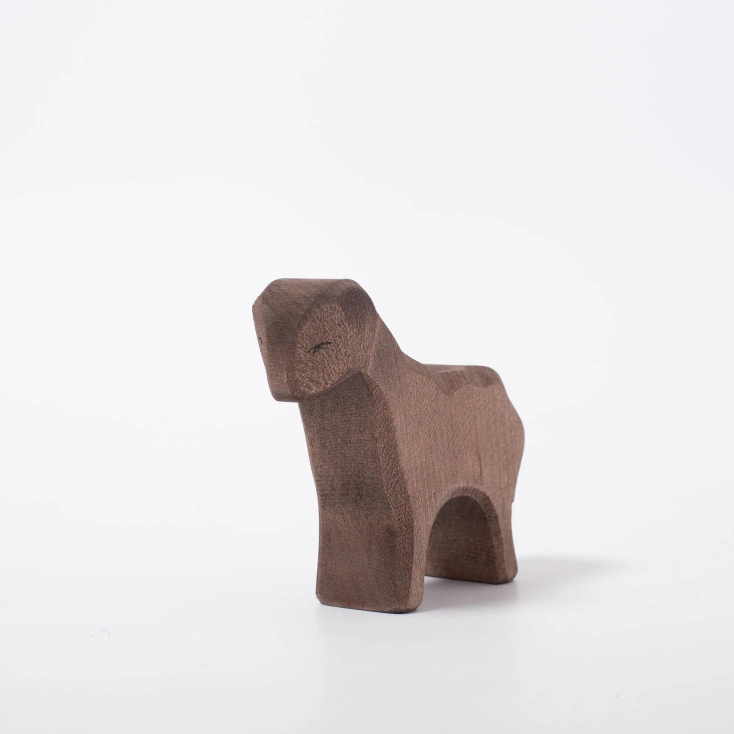 brown sheep standing