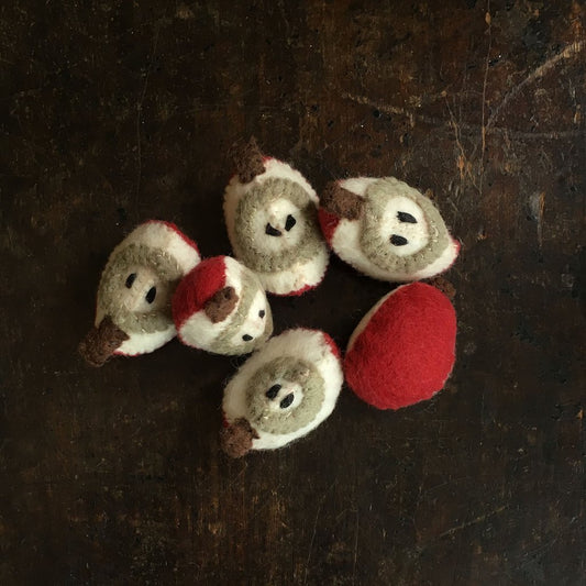 Wool Felt Apple Slices